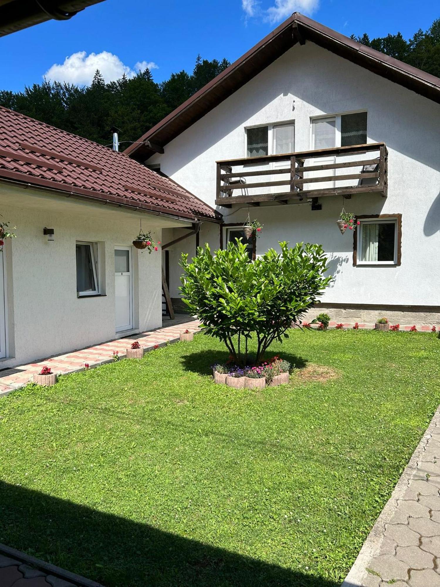 Casa Popa'S 호텔 Cîrţişoara 외부 사진