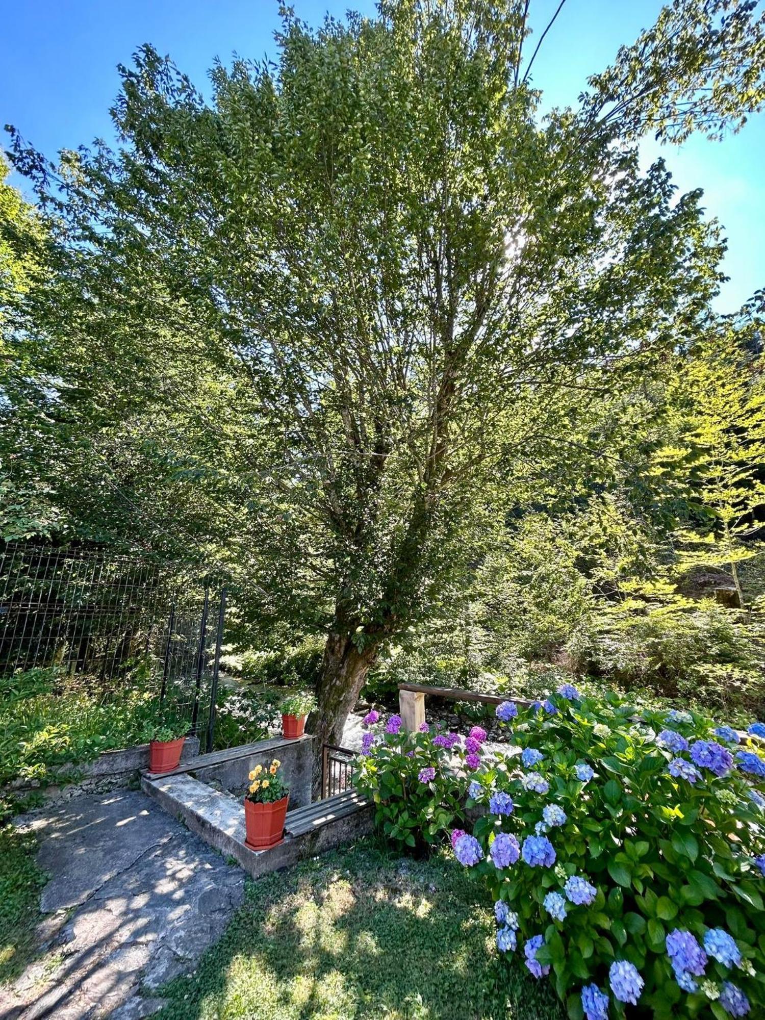 Casa Popa'S 호텔 Cîrţişoara 외부 사진